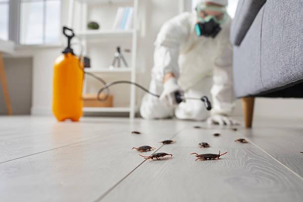 Commercial Kitchen Cockroach Control in Fairlawn